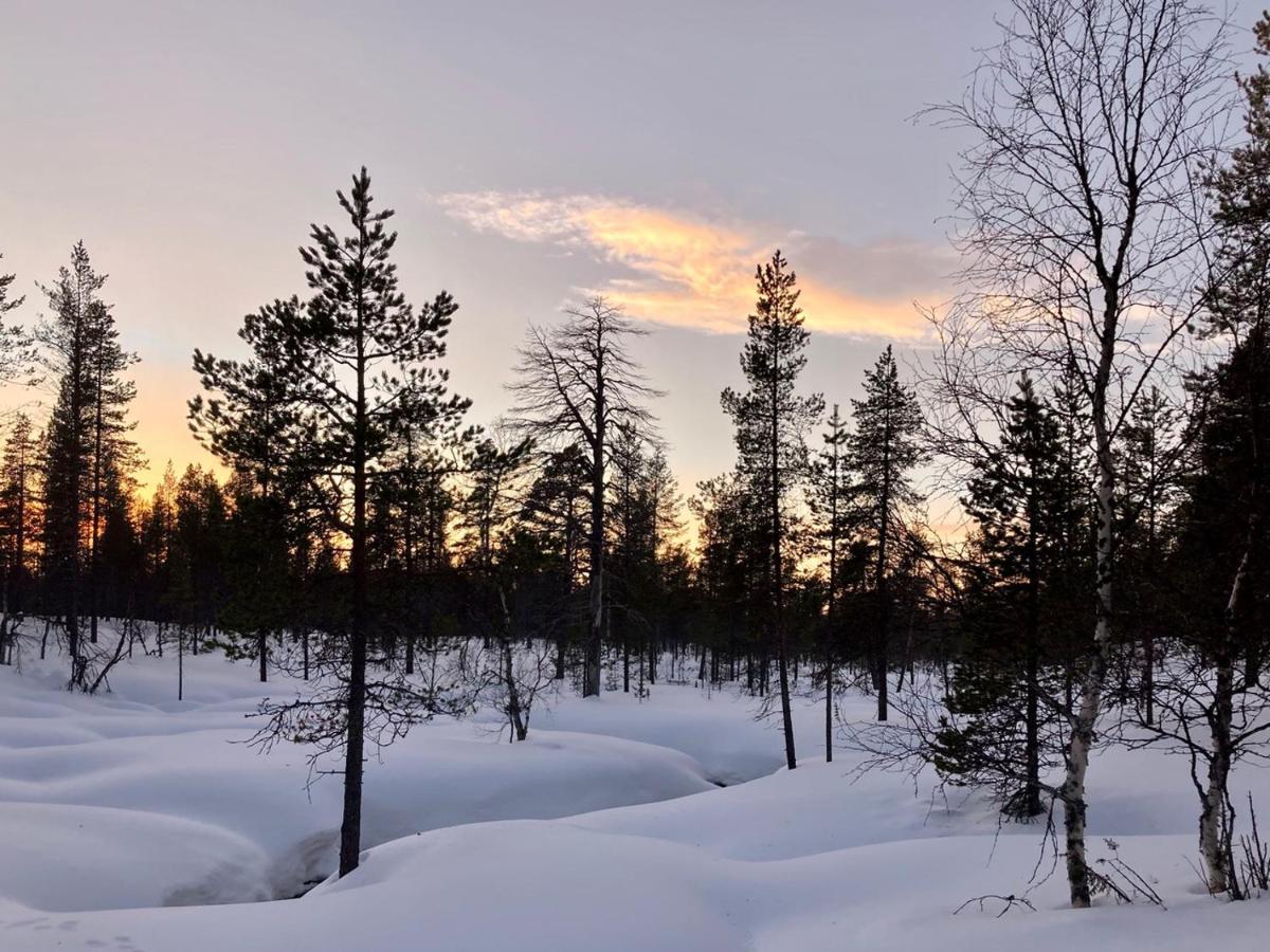 Kuukkeli Log Houses Aurora Cabin - Jaspis Saariselka Eksteriør bilde